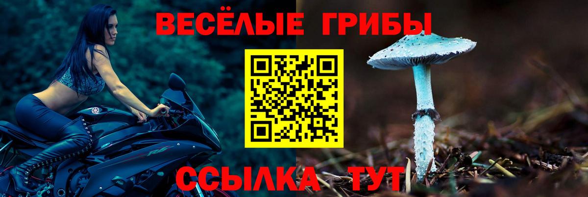 Псилоцибиновые грибы Psilocybe Саки