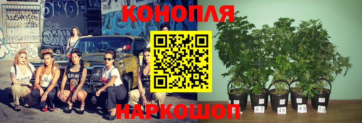 Шишки марихуана Ganja Саки
